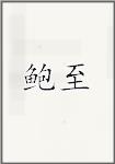 鲍至