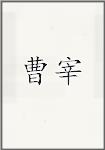 曹宰