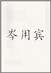 岑用宾
