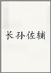长孙佐辅