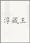 淳藏王