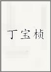 丁宝桢