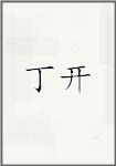 丁开