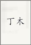 丁木