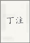 丁注
