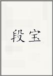 段宝