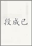 段成已