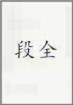 段全