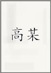 高某