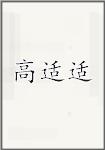 高适适