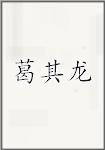 葛其龙