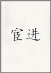 宦进
