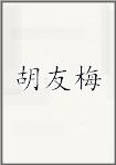胡友梅