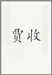 贾收