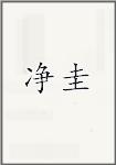 净圭