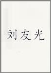 刘友光