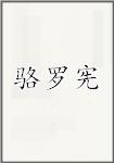 骆罗宪