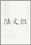 陆文组