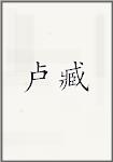 卢臧