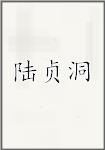陆贞洞