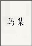 马某