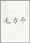 毛方平
