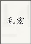 毛宏
