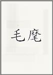 毛麾
