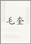 毛奎