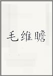 毛维瞻