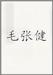 毛张健