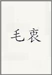 毛衷
