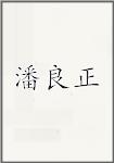 潘良正