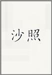 沙照