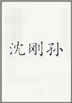 沈刚孙