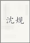 沈规