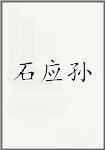 石应孙