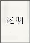 述明