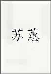 苏蕙