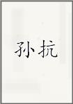 孙抗