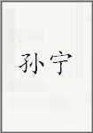 孙宁