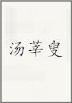 汤莘叟