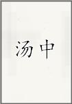 汤中