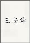 王安舜
