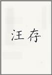 汪存