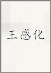 王感化