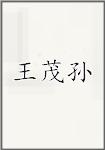 王茂孙