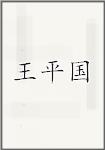 王平国