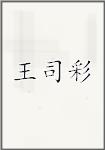 王司彩