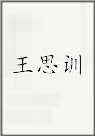 王思训